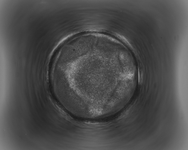 X0000082930531200703020107