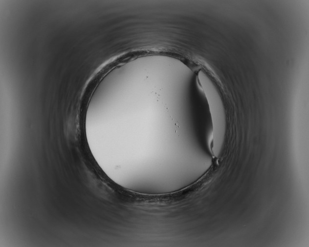 X0000082930532200703020107