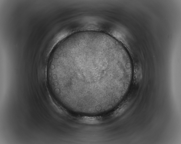 X0000082930534200703020107