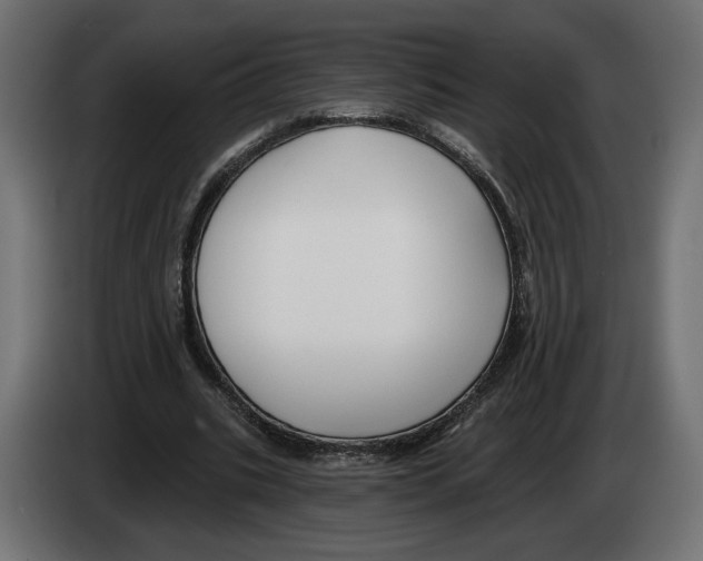 X0000082930535200703020107