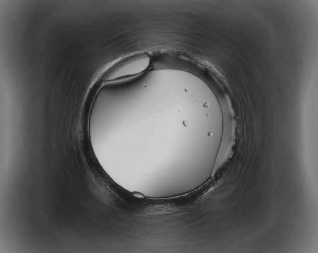 X0000082930536200703020107