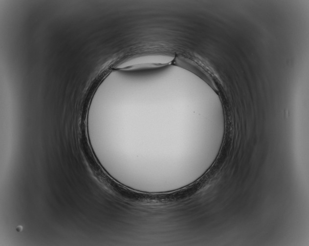 X0000082930538200703020107