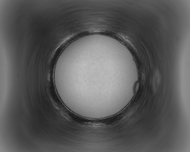 X0000082930539200703020107