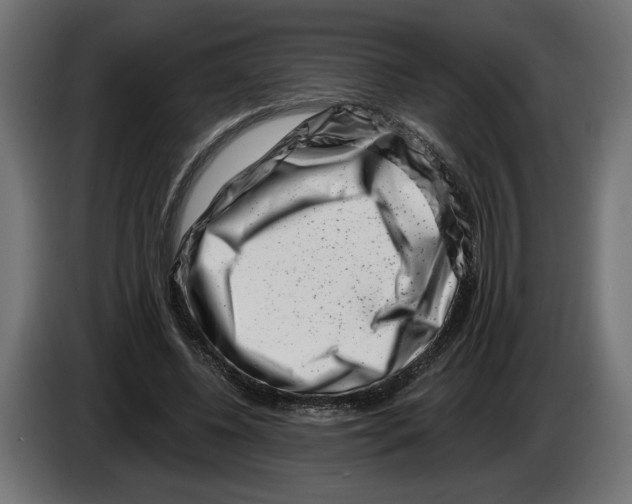 X0000082930540200703020107