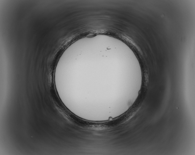 X0000082930541200703020107