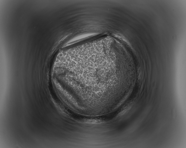 X0000082930542200703020107