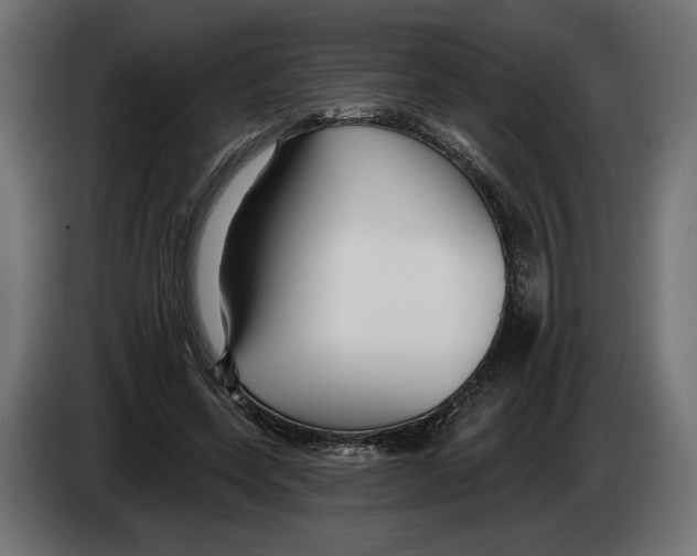 X0000082930543200703020107