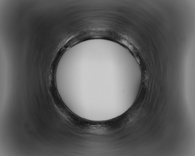 X0000082930544200703020107