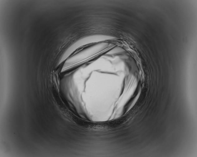 X0000082930546200703020107