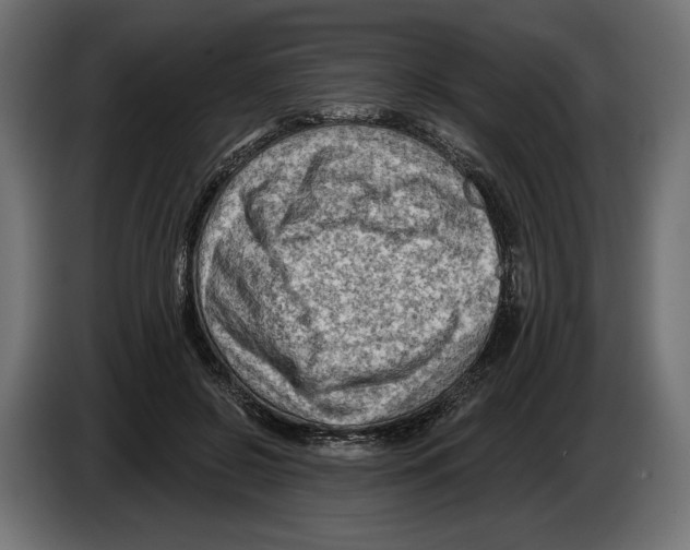 X0000082930550200703020108