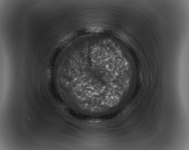 X0000082930551200703020108