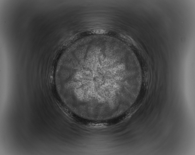 X0000082930553200703020108