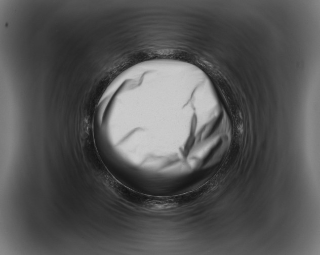 X0000082930555200703020108