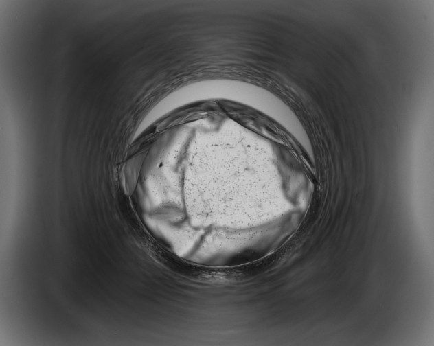 X0000082930558200703020108
