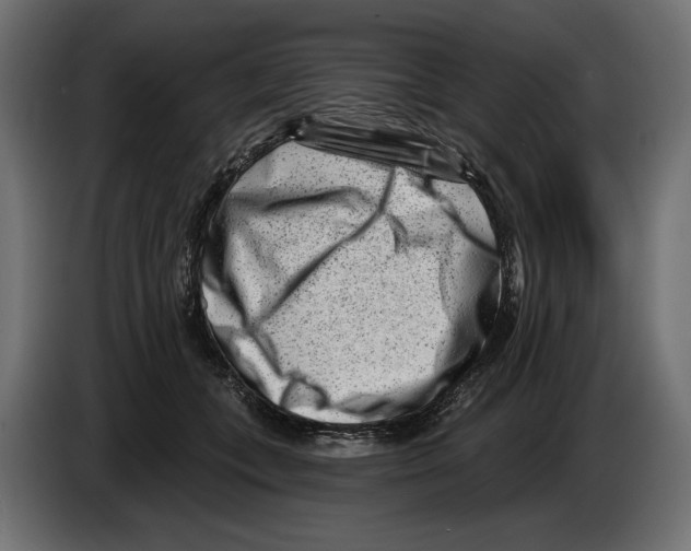X0000082930559200703020108