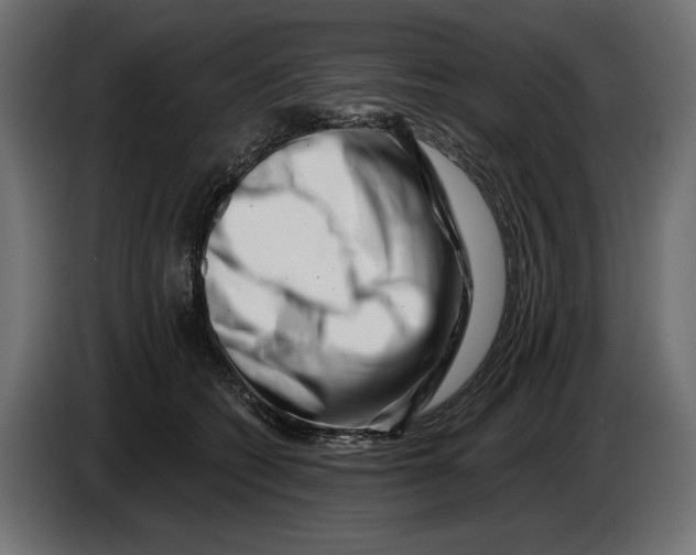 X0000082930562200703020108