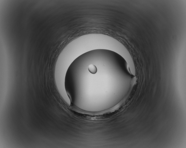 X0000082930564200703020108