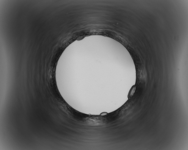 X0000082930567200703020108