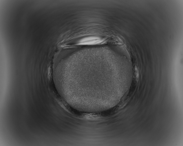 X0000082930568200703020108