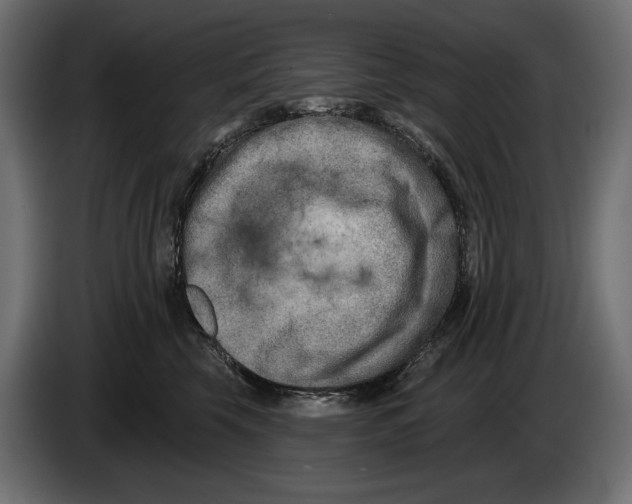 X0000082930569200703020108