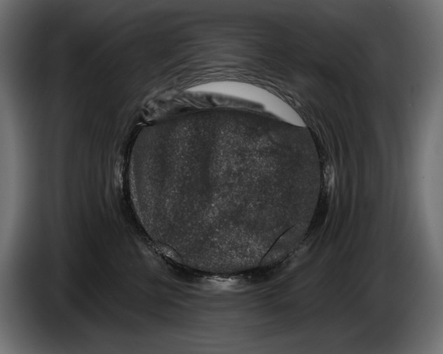 X0000082930570200703020108