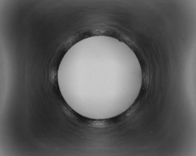 X0000082930574200703020108