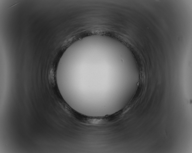 X0000082930575200703020108