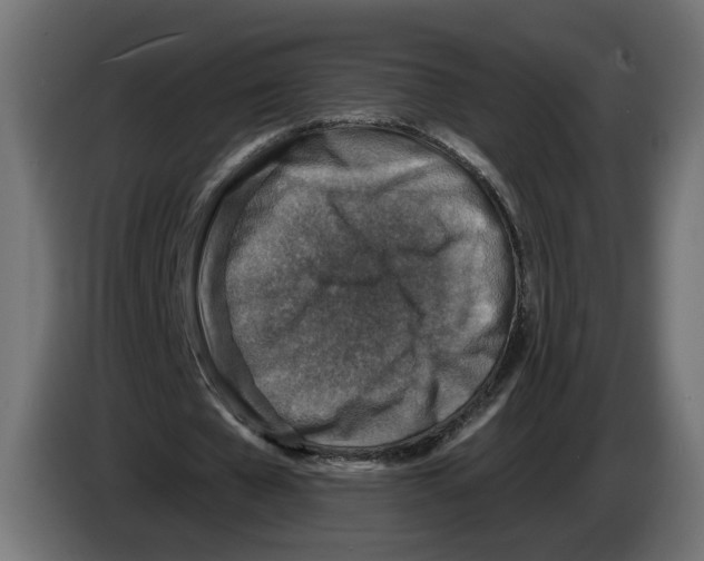X0000082930577200703020107