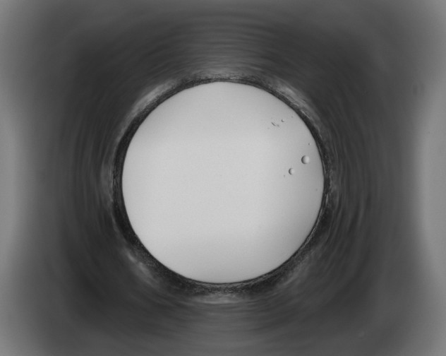 X0000082930578200703020107