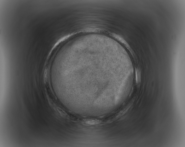 X0000082930579200703020107