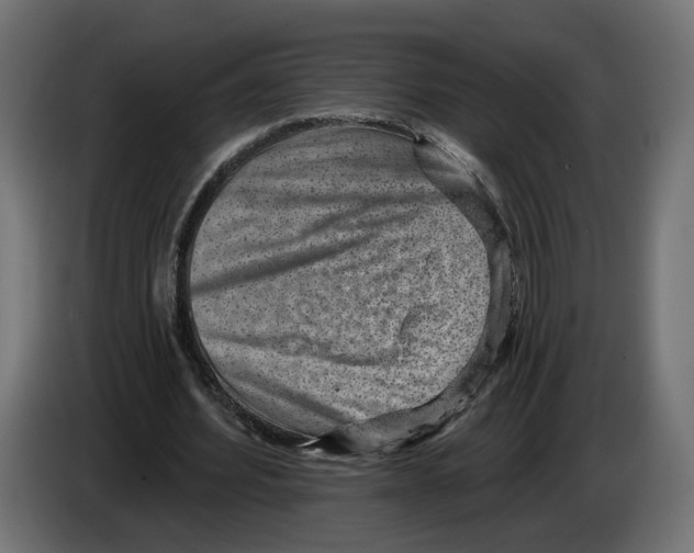 X0000082930580200703020107