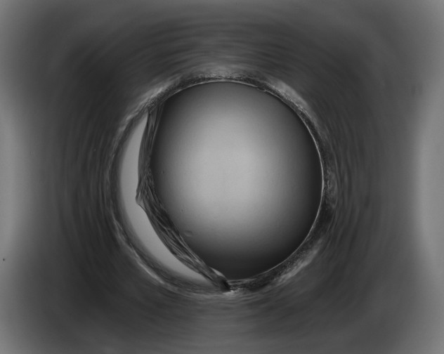 X0000082930581200703020107