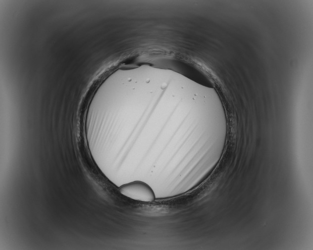 X0000082930582200703020107