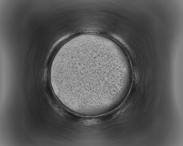 X0000082930583200703020107