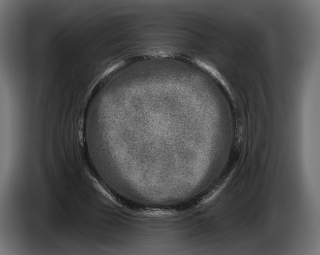 X0000082930585200703020107