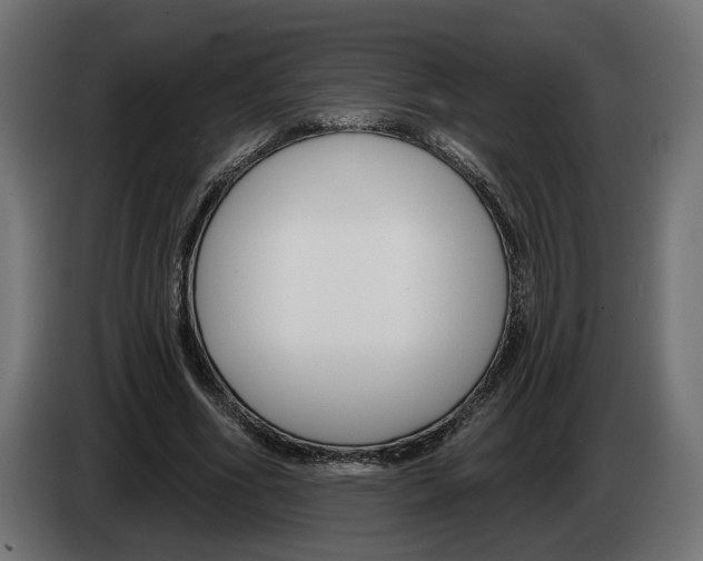 X0000082930586200703020107