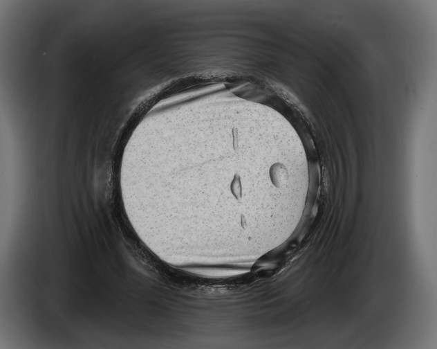 X0000082930588200703020107