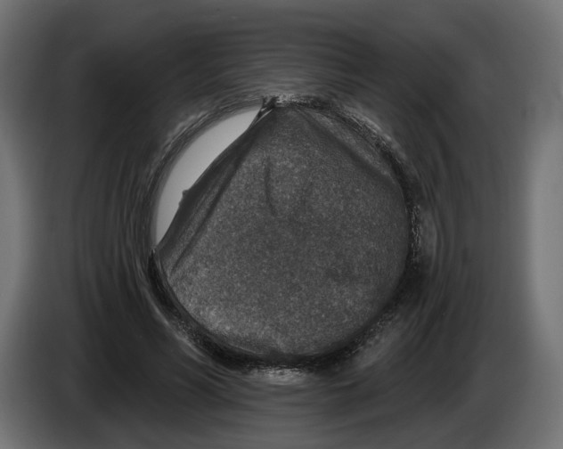 X0000082930590200703020107