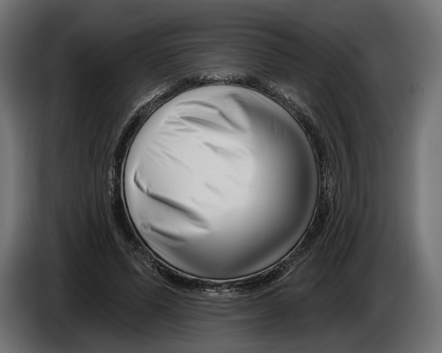 X0000082930591200703020107