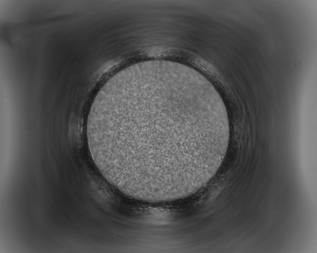 X0000082930592200703020107