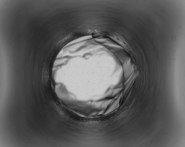 X0000082930593200703020107