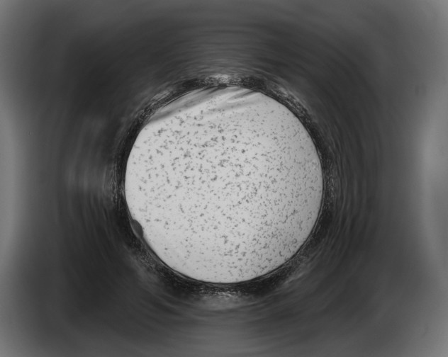X0000082930594200703020107
