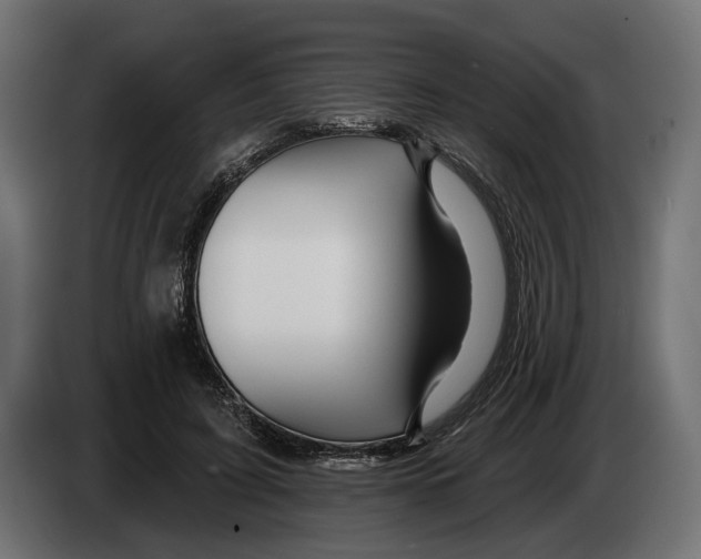 X0000082930595200703020107
