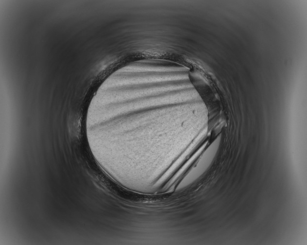 X0000082930596200703020107