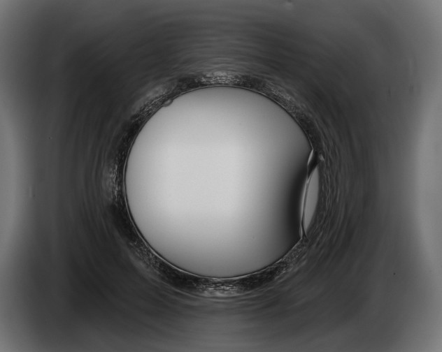 X0000082930599200703020107