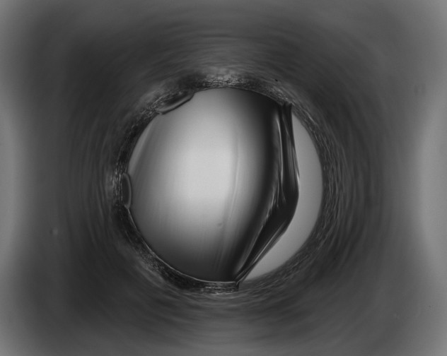 X0000082930601200703020107