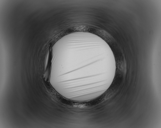 X0000082930602200703020107