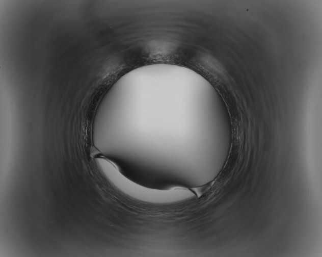 X0000082930603200703020107