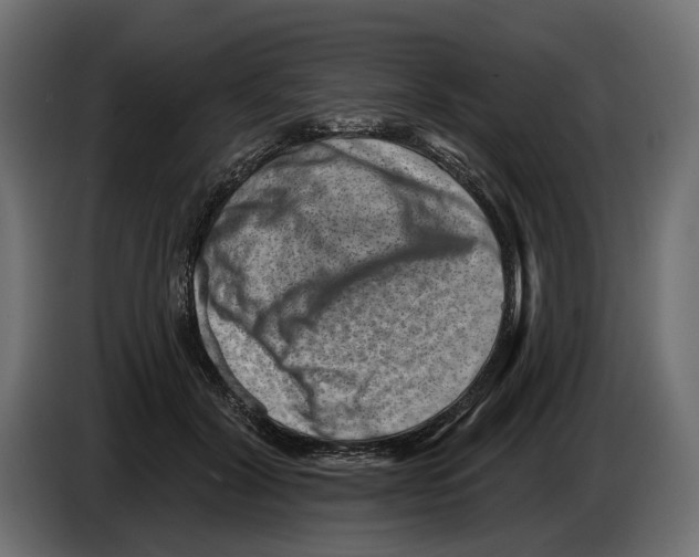 X0000082930604200703020107