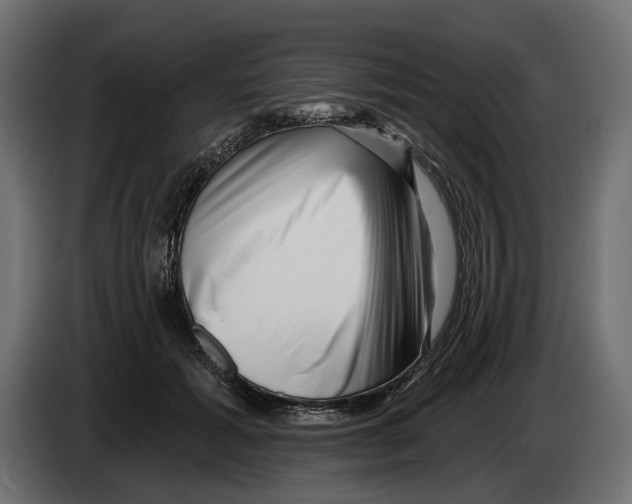 X0000082930605200703020107